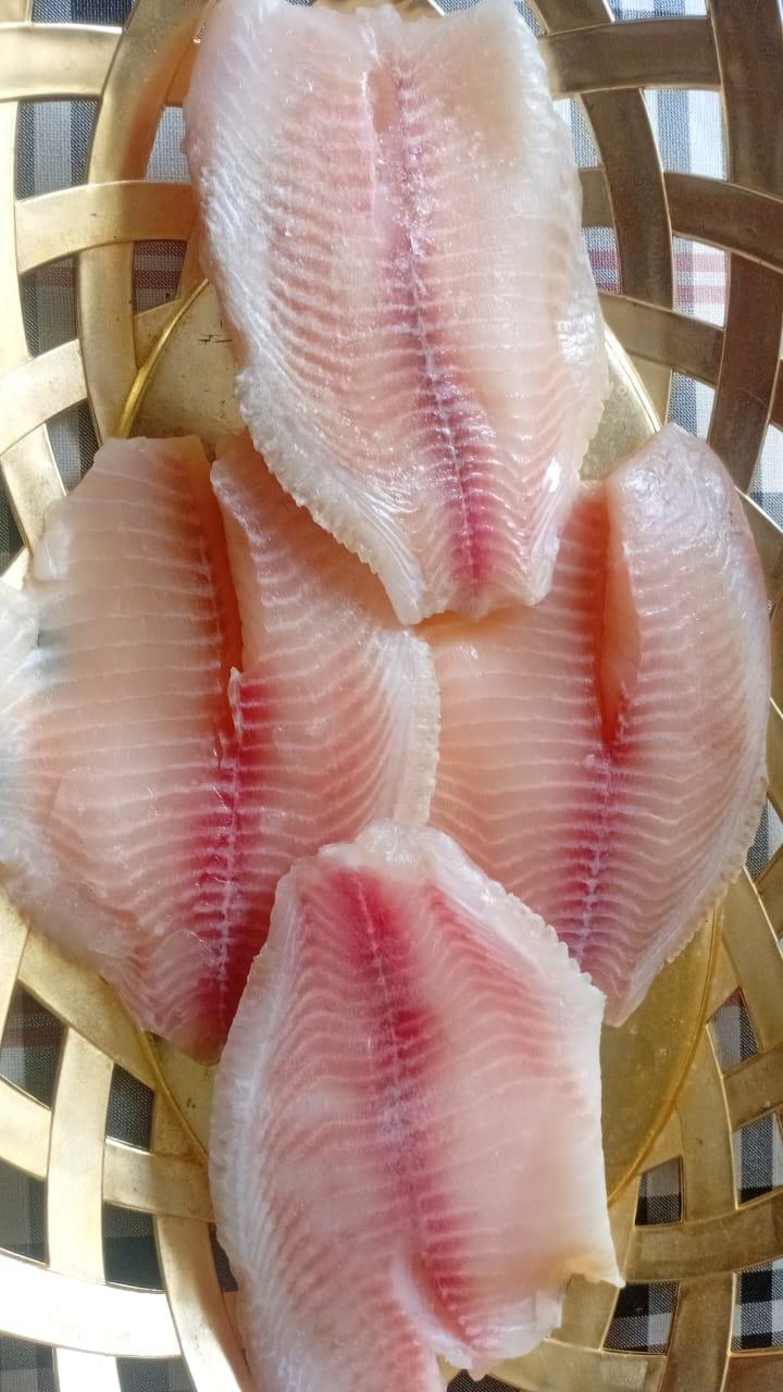 Filet de tilapia