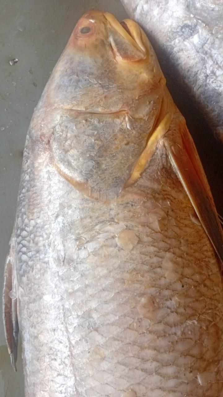Ndiané