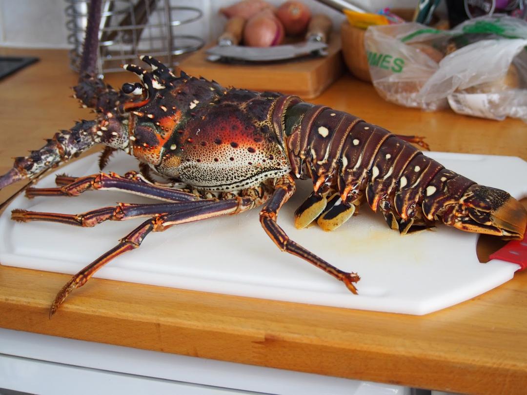 Langouste morte -1 kg