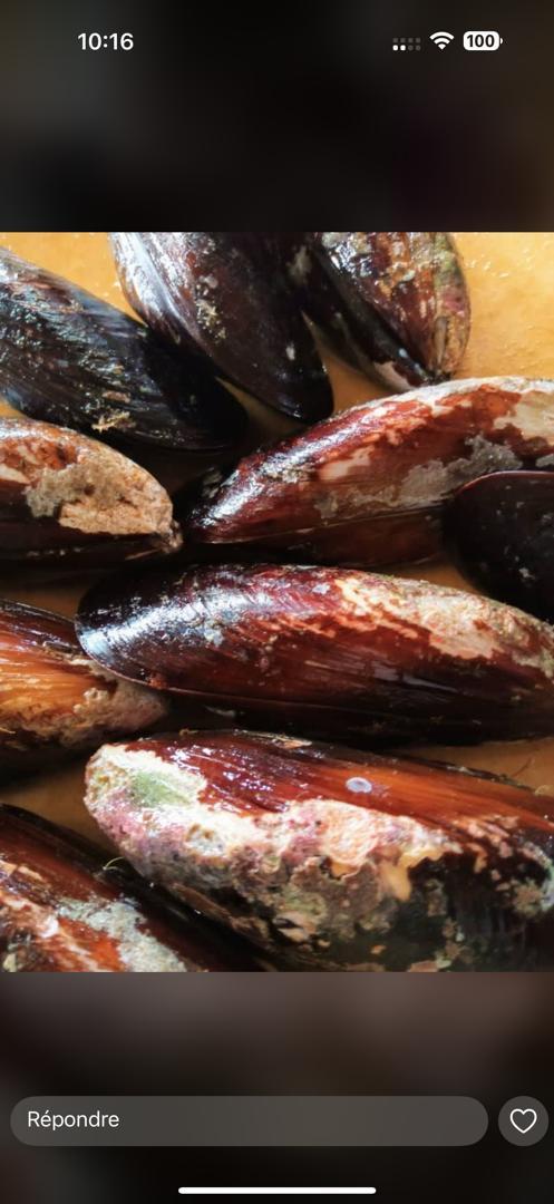Moules