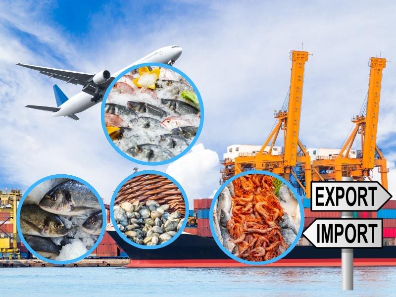 Cargo ship for seafood export
