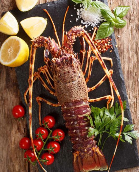 Langouste morte +1 kg